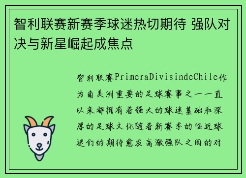 智利联赛新赛季球迷热切期待 强队对决与新星崛起成焦点